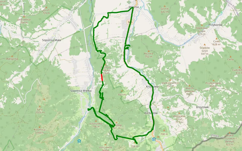 Krzyżowa - sopotnia - domek - pilsko