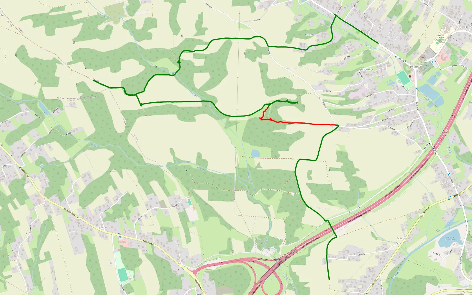 Map of Mszana - Połomia - 6.2 km offroad trail, Wodzisław County