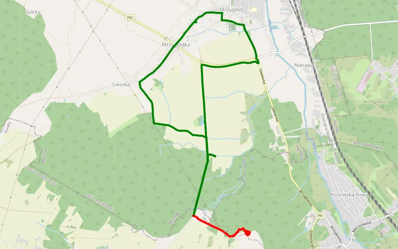 Mrzygłódka