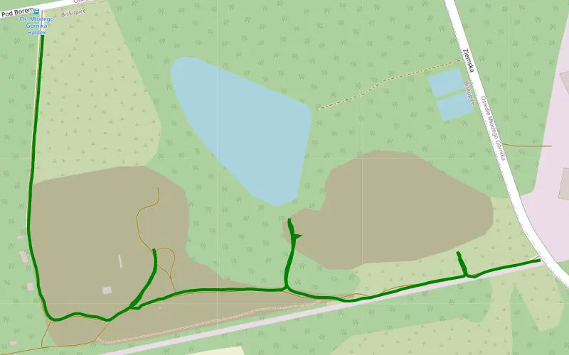 Borzyków