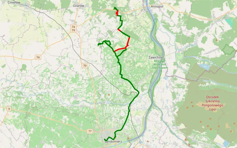Dwikozy czyżów