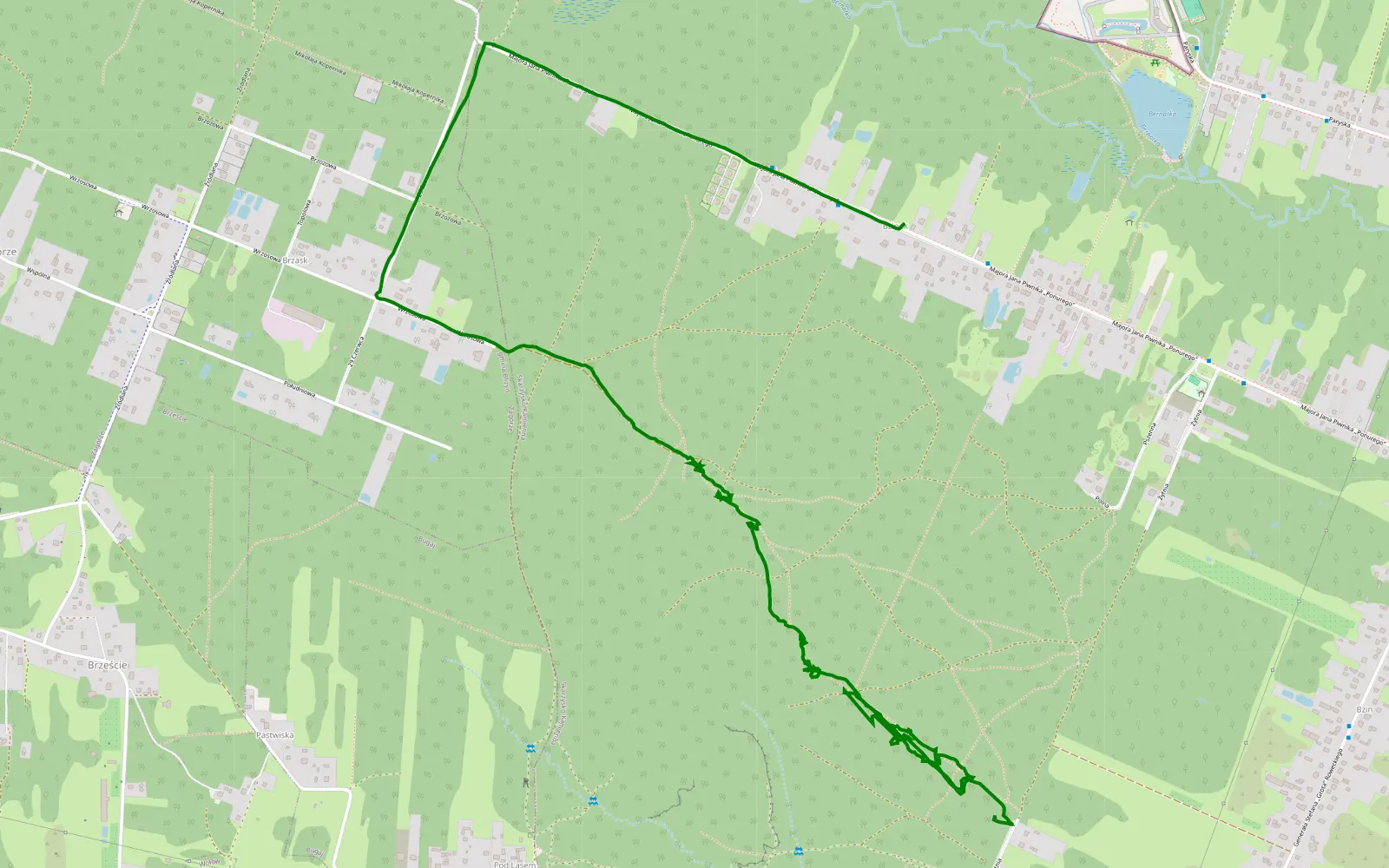Map of Bzin - 3.4 km offroad trail, Skarżysko County
