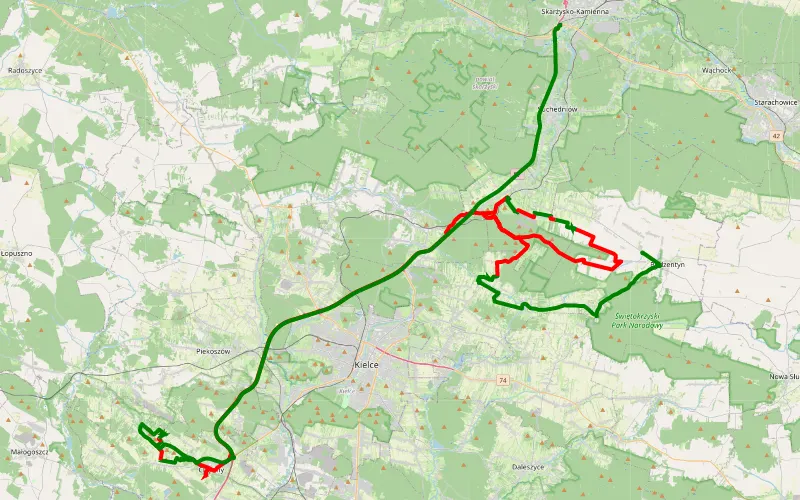 Święta Katarzyna - Bzinek