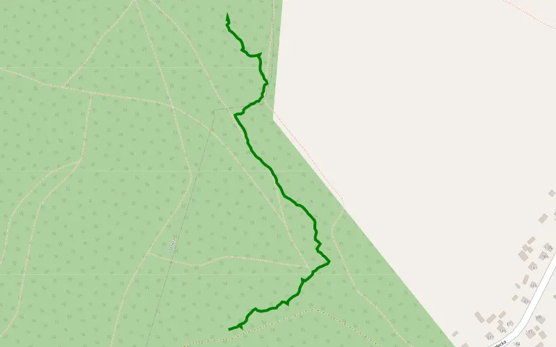 Próba 1
