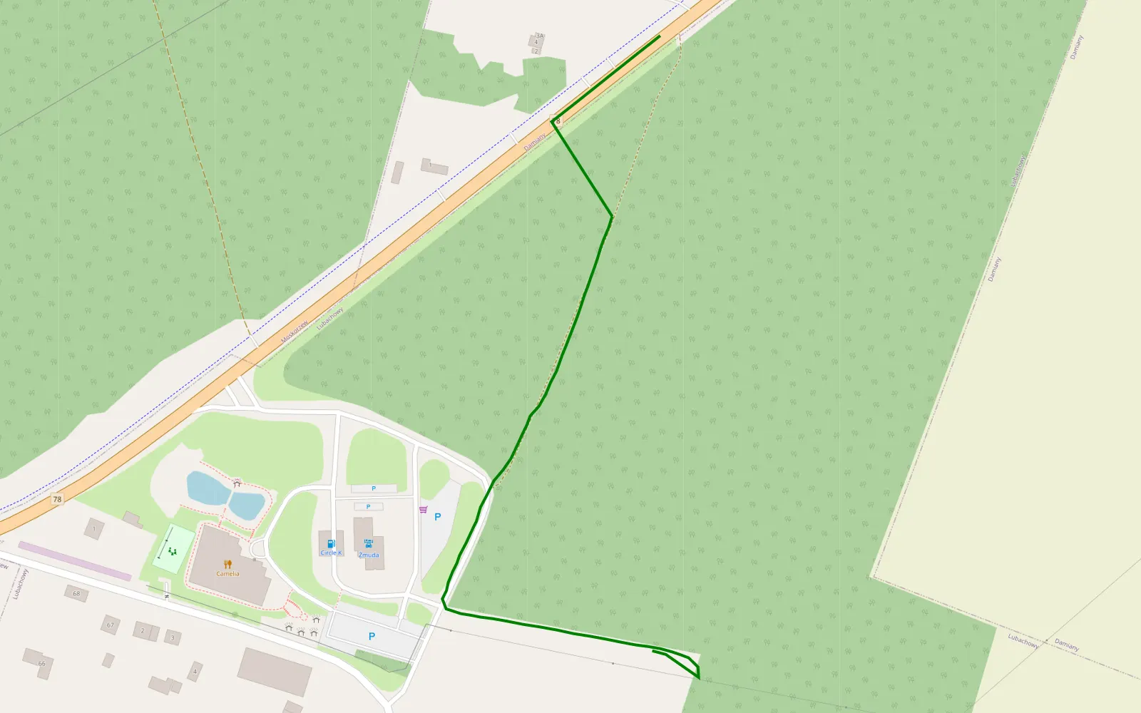 Mapa trasy Damiany - Lubachowy - 0.5 km trasy offroad, Powiat Włoszczowski