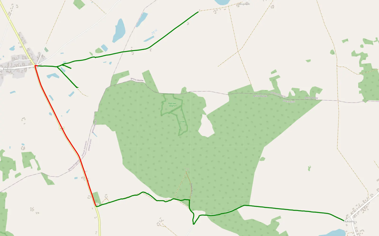 Map of Tłukomy - Bługowiec - 9.8 km offroad trail, Złotów County