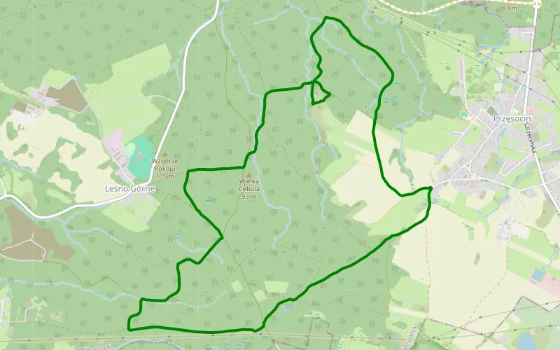 Przęsocin