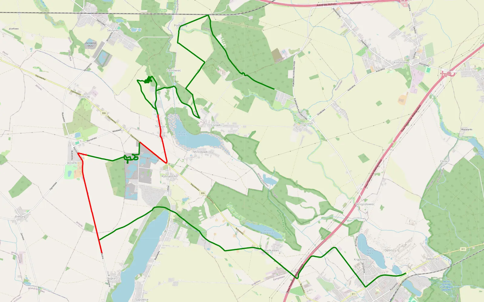 Mapa trasy Trzcielin - Dębno - 21.3 km trasy offroad, Powiat Poznański