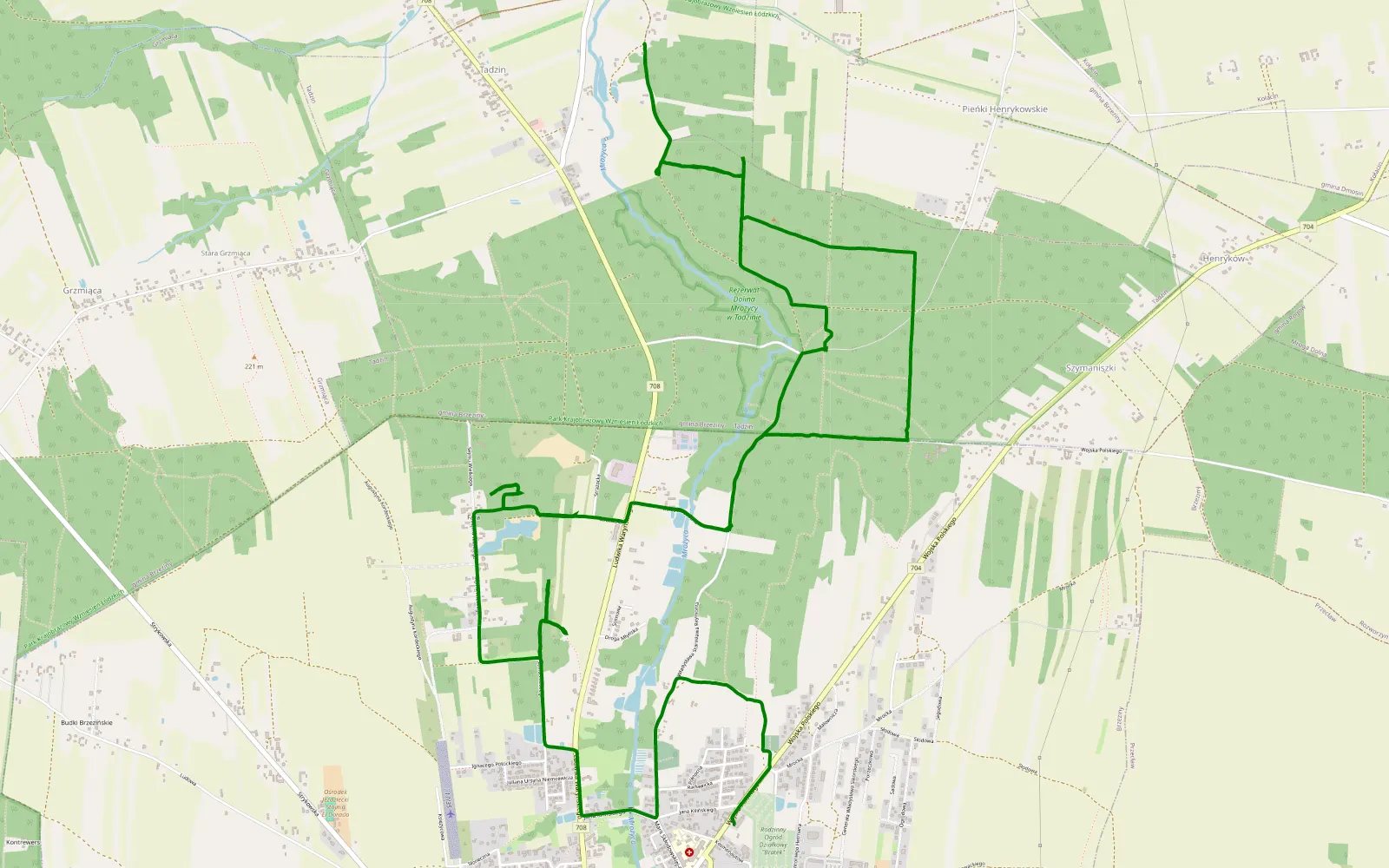 Mapa trasy Brzeziny z Adasiami - 10.9 km trasy offroad, Powiat Brzeziński