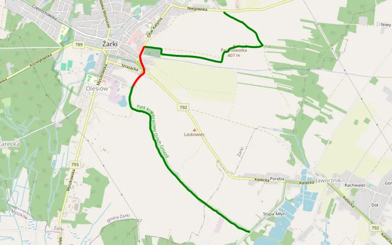 Jaworznik - Leśniów