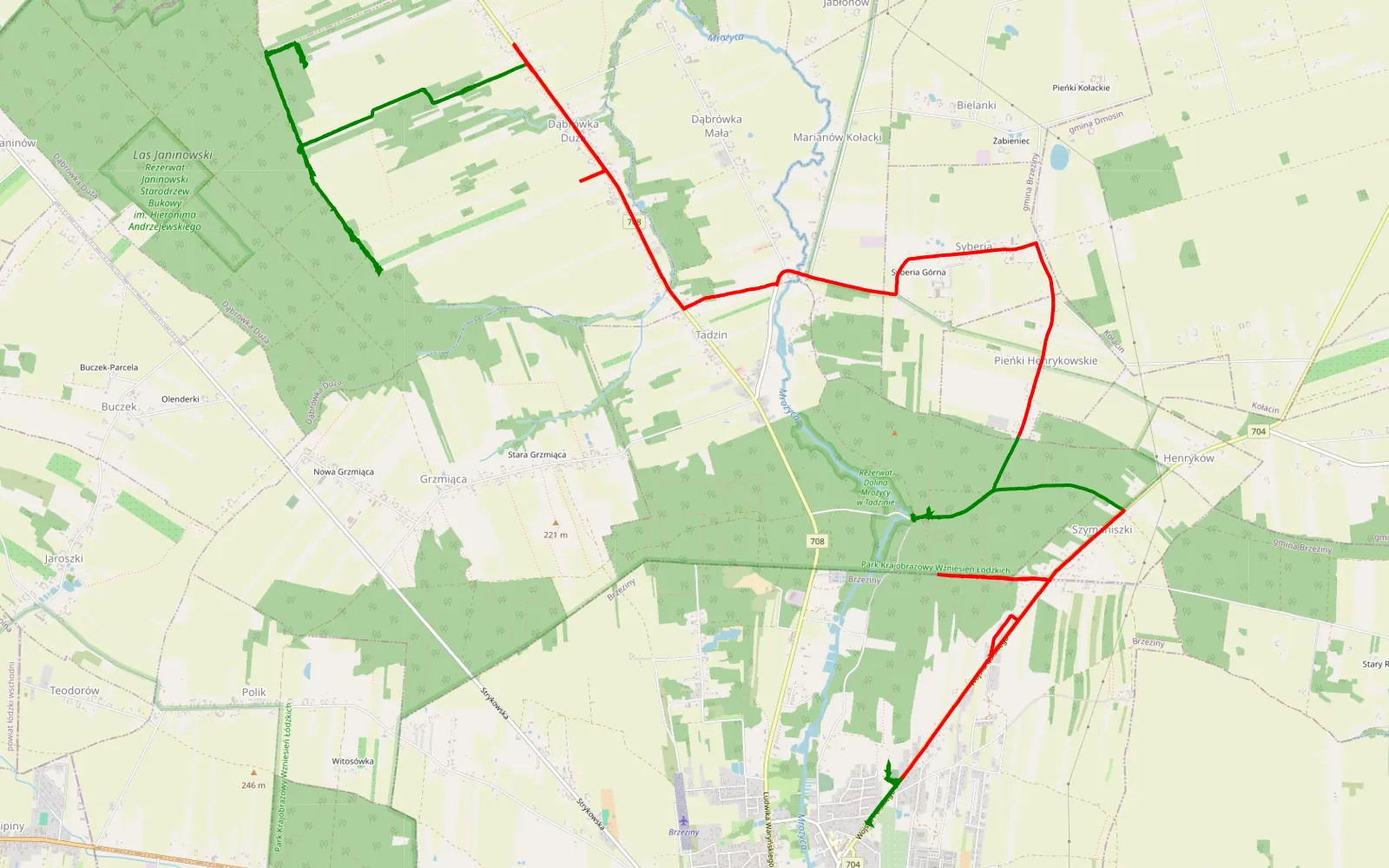 Map of Brzeziny - Dąbrówka Duża - 24.6 km offroad trail, Brzeziny County