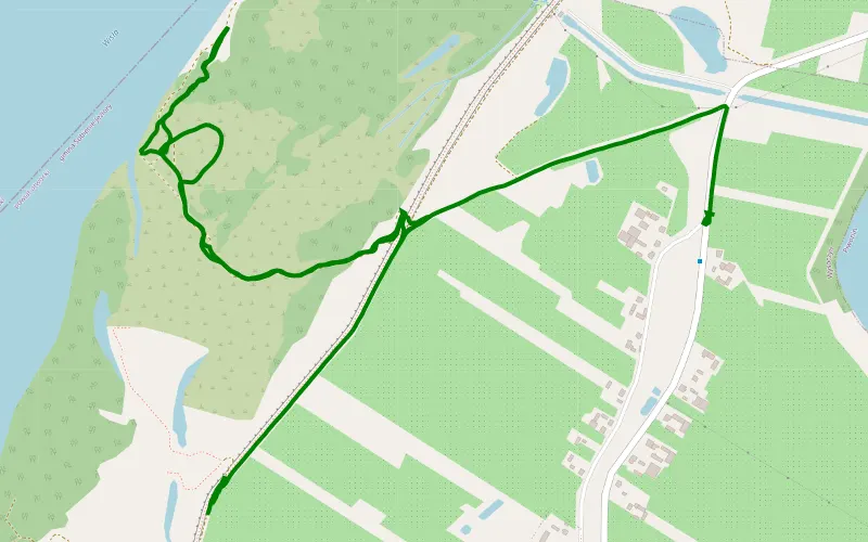 Piwonin - Wysoczyn