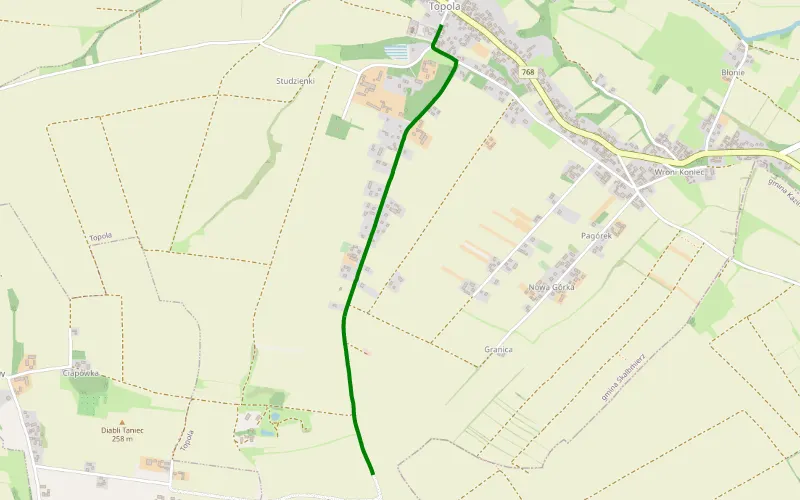 Budzyń - Topola