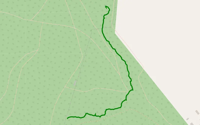 Próba 5