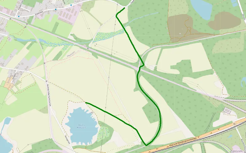 Zabrze - jezioro + dżungla