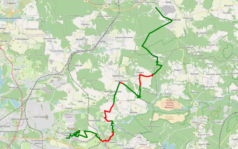 Zamek Ogrodzieniec z dąbrowy
