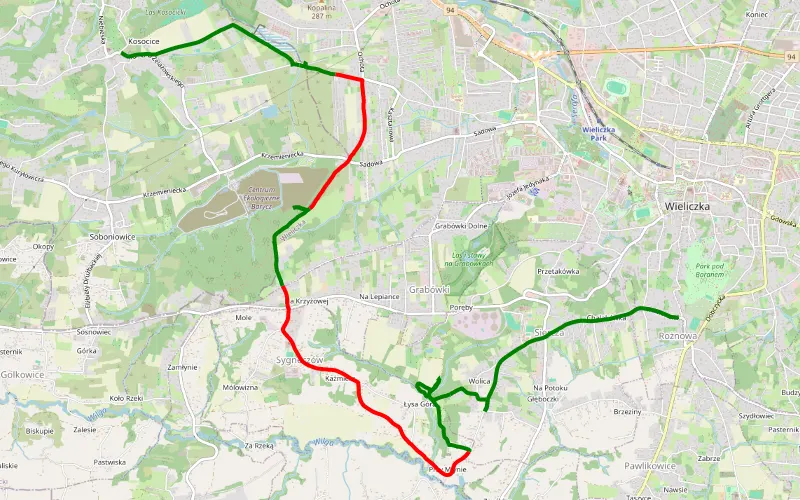 Rożnowa - Kosocice marcin