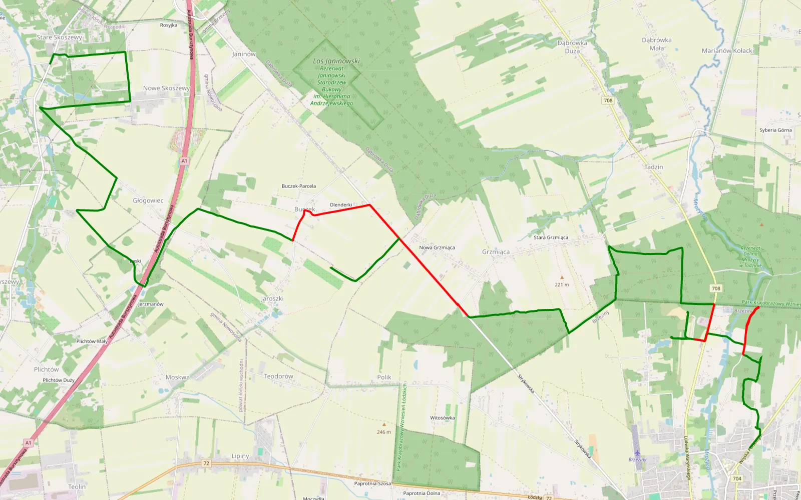 Map of Brzeziny - Skoszewy Stare - 17.8 km offroad trail, Brzeziny County