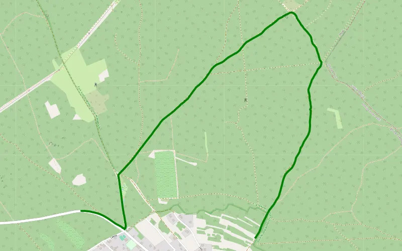 Płoki