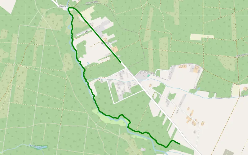 Nakielnica - Karolew2