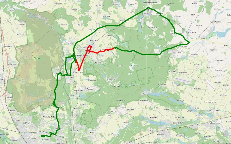 Jana III Sobieskiego i Marysieńki - Morasko-Radojewo