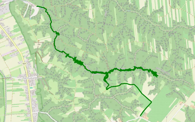 Kazimierz