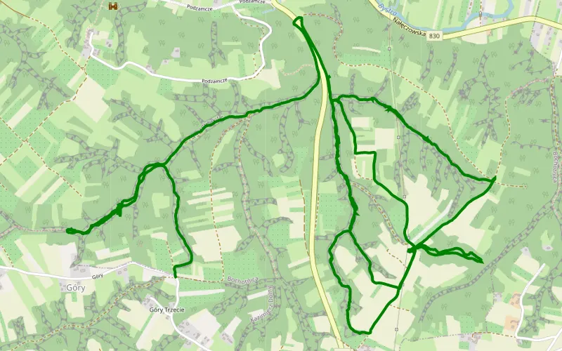 Bochotnica - Skowieszynek