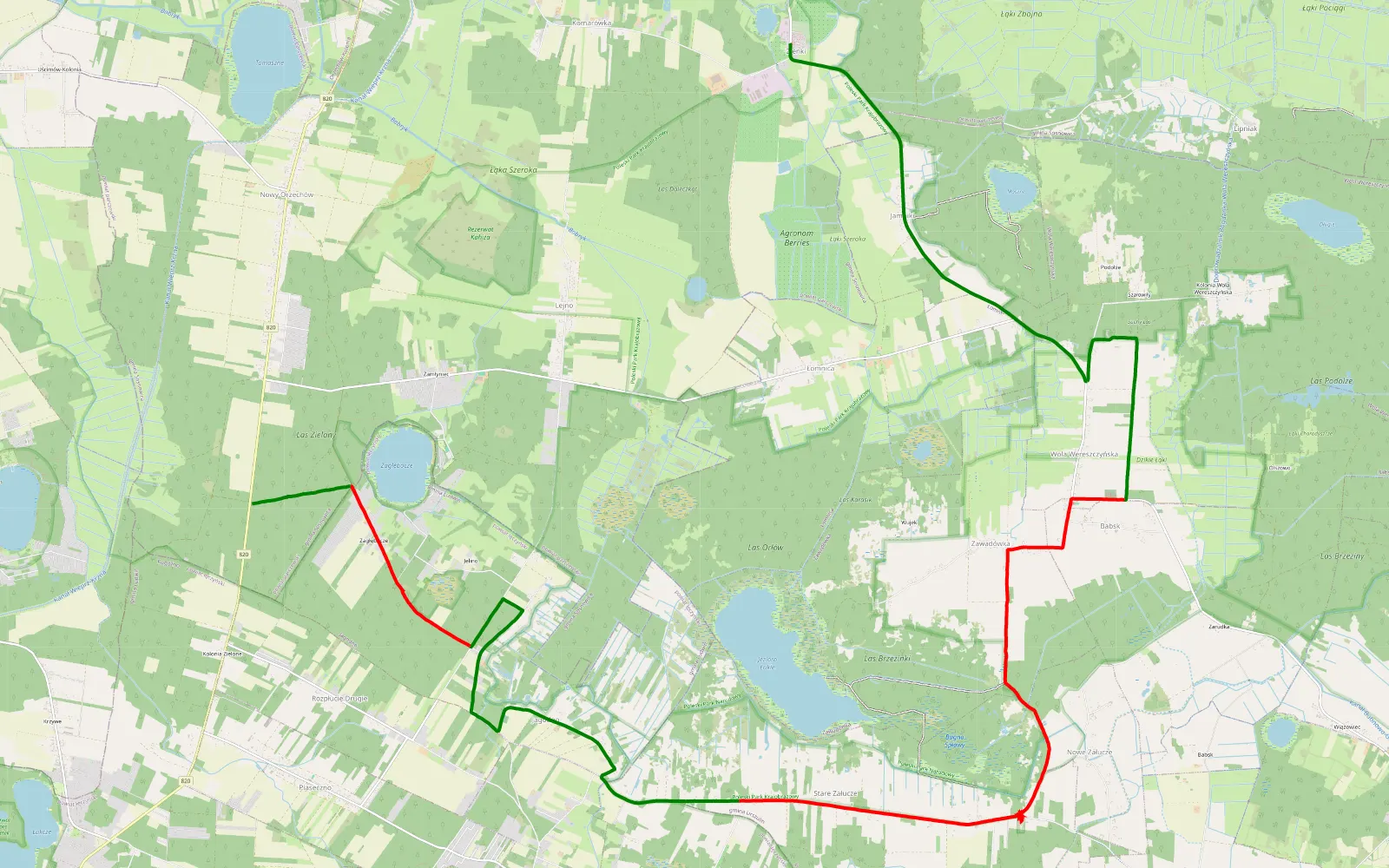 Map of Zienki - Zagłębocze - 20.9 km offroad trail, Włodawa County