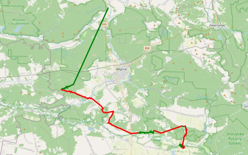 Sokołówka - Pisklaki