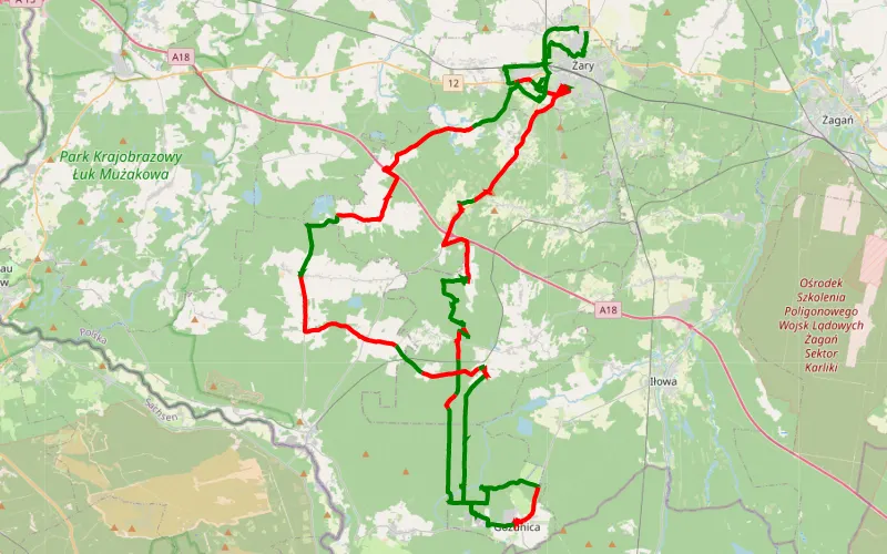 Żary