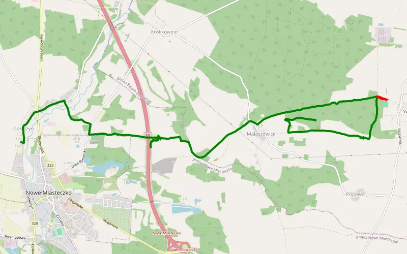 Gołaszyn - Małaszowice
