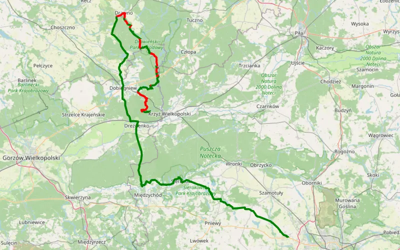 Puszcza Drawska i powrót