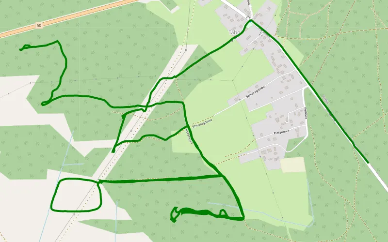 Tabór