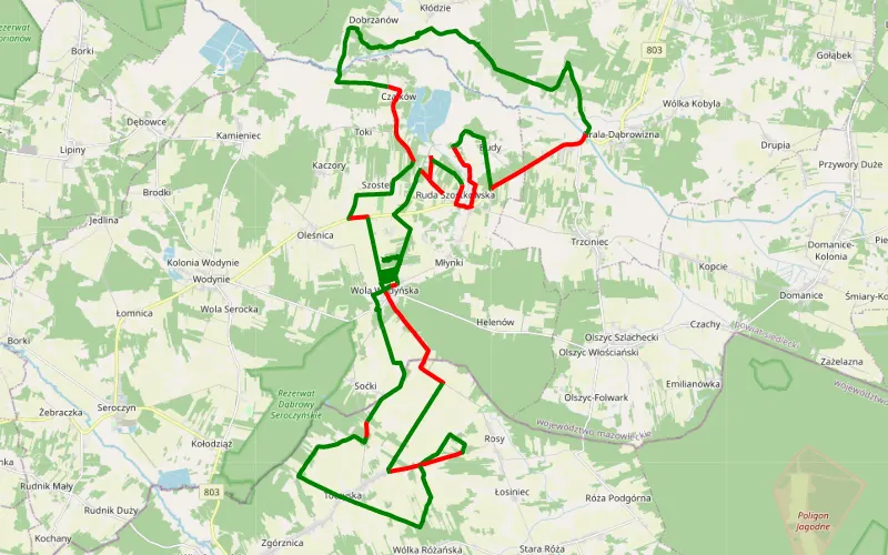 Wola Wodyńska 3 miejsce