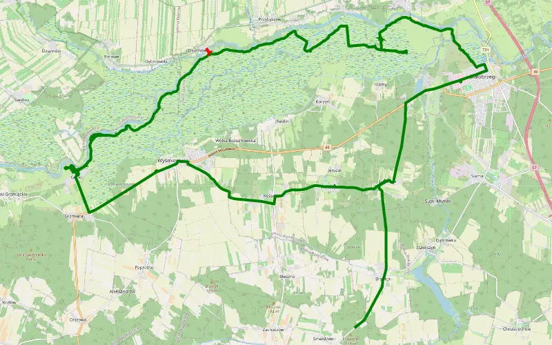 Jasionna - Smardzew
