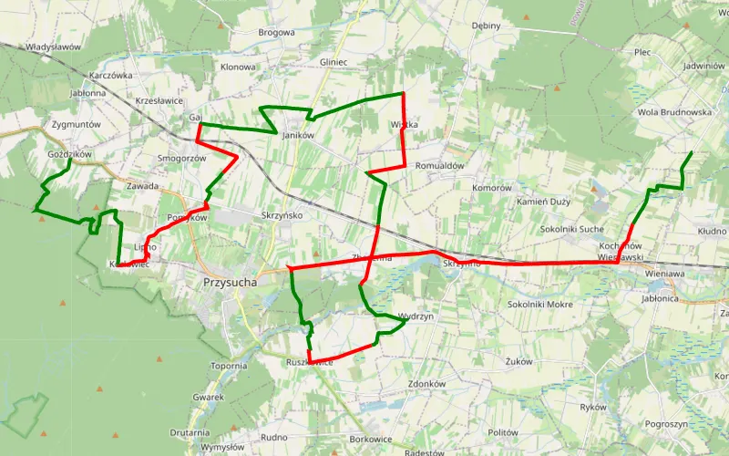 Wola Brudnowska - Goździków