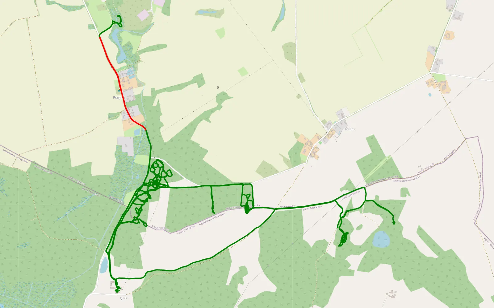 Mapa trasy Dębno - Olendry Duszynskie - 24.4 km trasy offroad, Powiat Mogileński