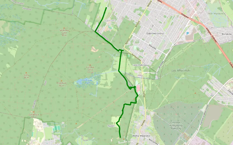 Dąbrowa - Wólka Węglowa