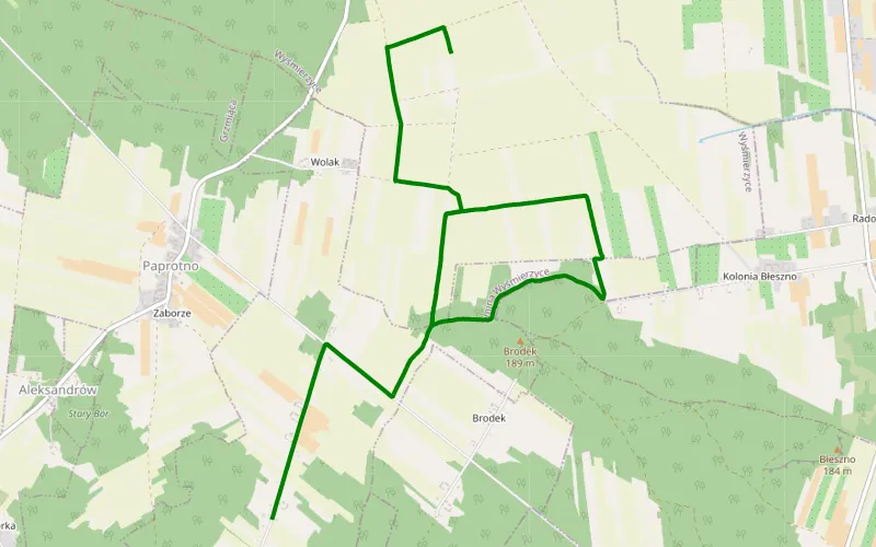 Wyśmierzyce - Romanów