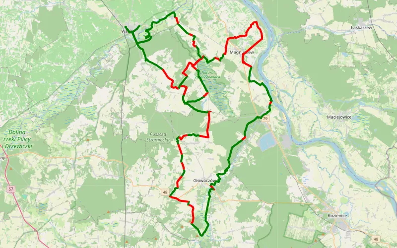 Warka - Winiary