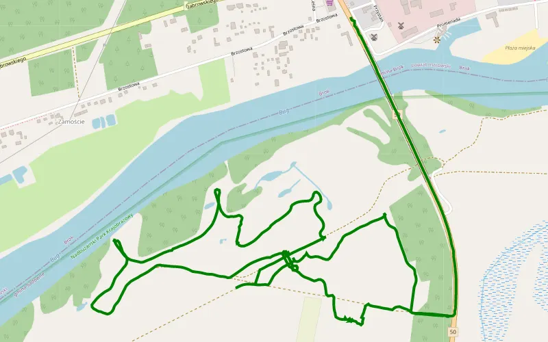 Brok