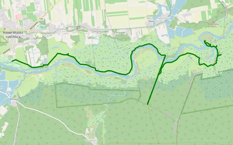 Borowiec - Gostomia