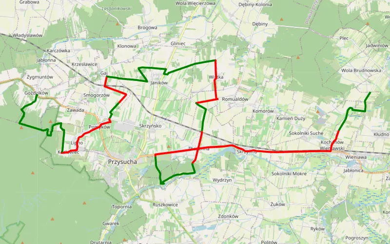 Wola Brudnowska - Goździków