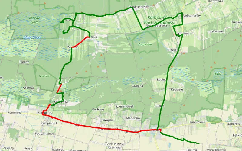 Śladem Rolexa Wąsy - Leszno
