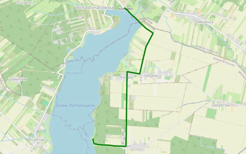 Wólka Domaniewska - Kaleń