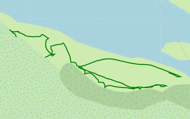 Wyspa