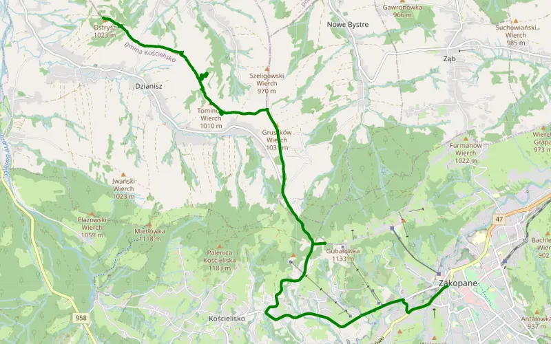 Zakopane - Dzianisz