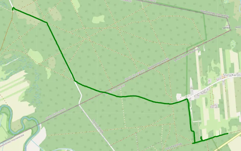 Karolinów Nowy - Samice