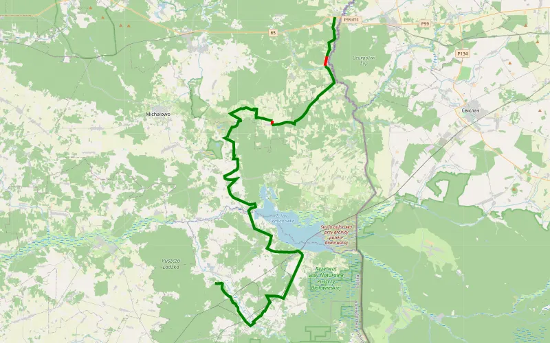 Bielowieza part 2 - Bobrowniki